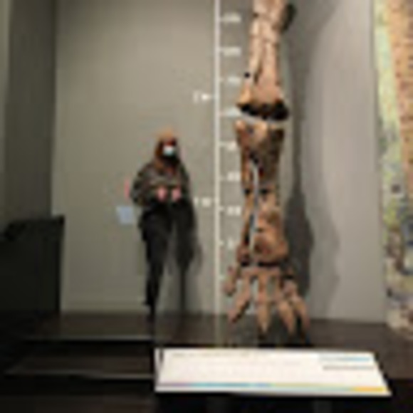 Meet your Posher, Sam - Picture 1 of 1